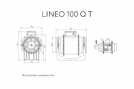 LINEO 100 Q T 17184