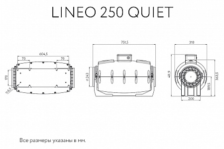 Lineo 250 Quiet 17165